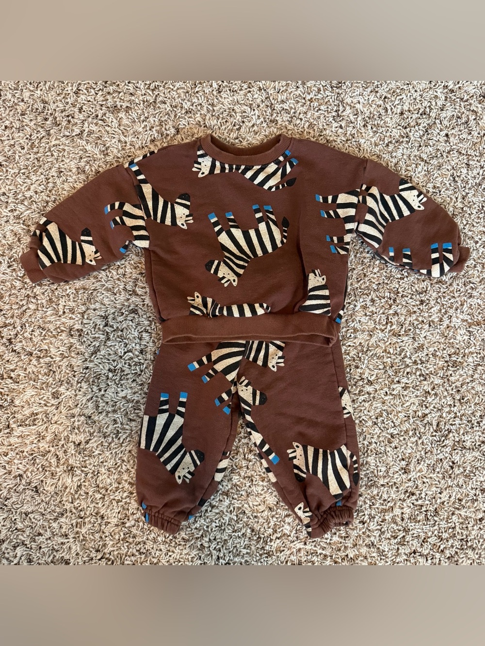 Zara Boys Zebra Matching Sweat Set - Size 2 years